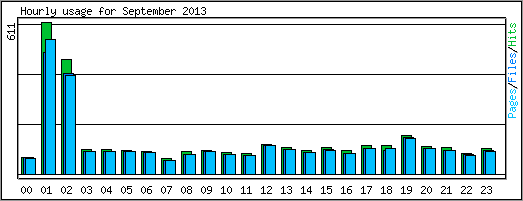 Hourly usage