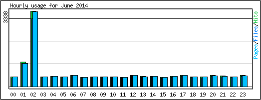 Hourly usage