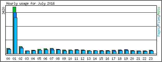 Hourly usage