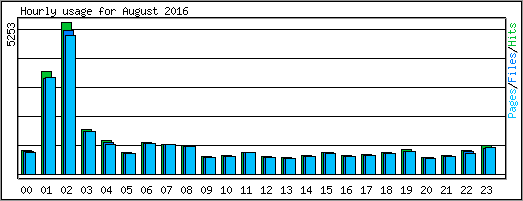 Hourly usage