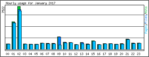 Hourly usage