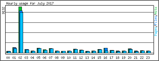 Hourly usage