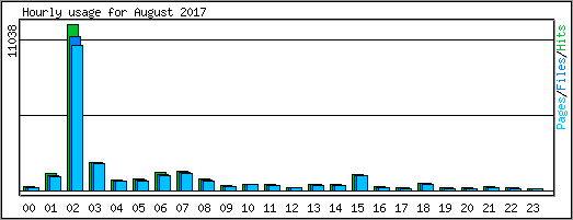 Hourly usage