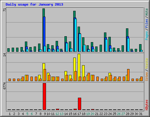 Daily usage for January 2013