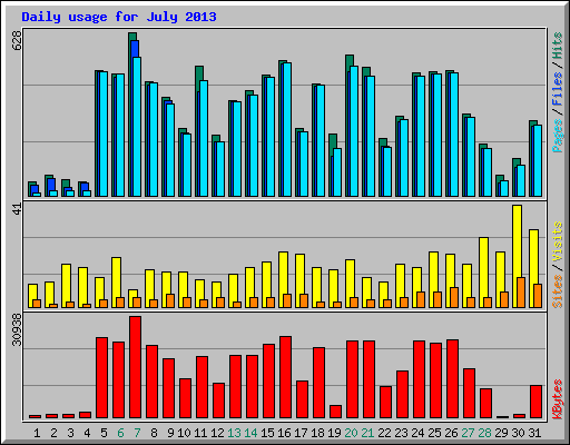 Daily usage for July 2013