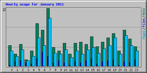 Hourly usage for January 2011