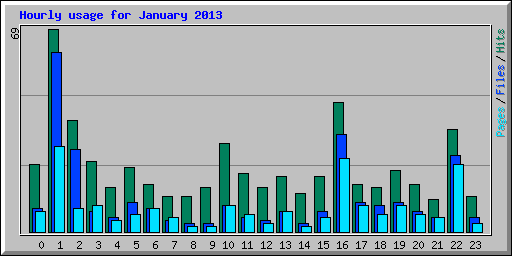 Hourly usage for January 2013