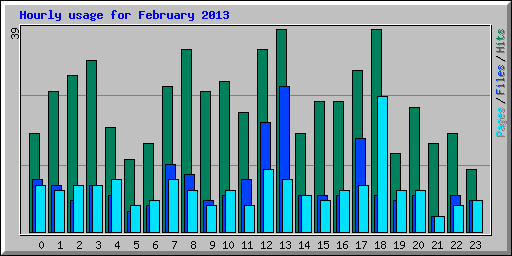 Hourly usage for February 2013