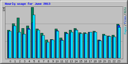 Hourly usage for June 2013