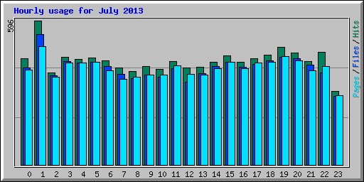 Hourly usage for July 2013