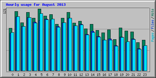 Hourly usage for August 2013