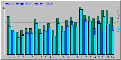 Hourly usage for January 2014