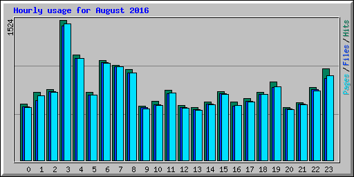 Hourly usage for August 2016