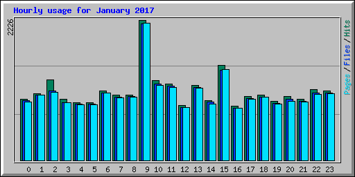 Hourly usage for January 2017